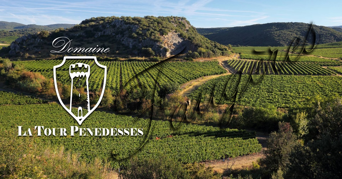 La Tour Penedesses | Domaine viticole à Faugères - Languedoc - Bienvenue au  Domaine la Tour Penedesses, vins bio AOP Faugeres